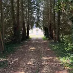 Avec Piscine Chauffee Coeur Du Pays D'auge Vila